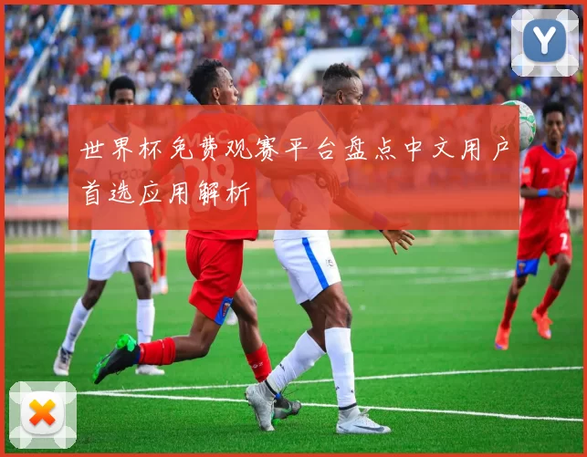 世界杯免费观赛平台盘点中文用户首选应用解析
