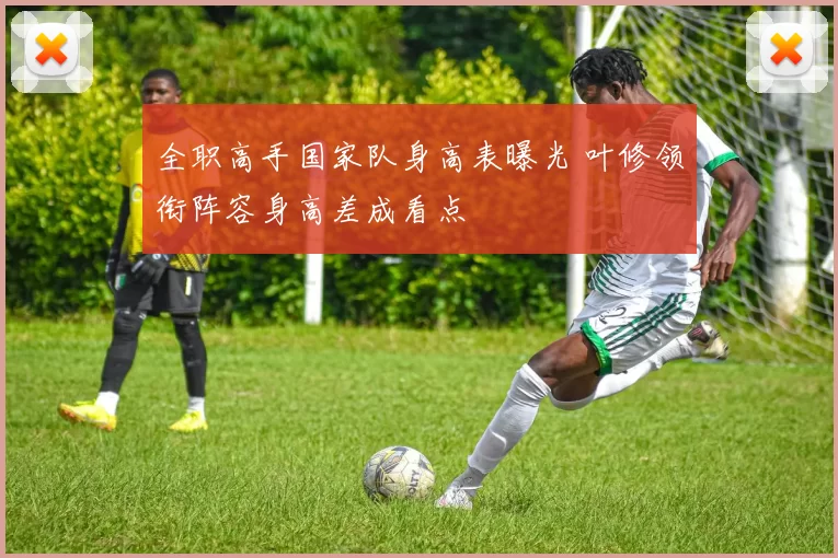 全职高手国家队身高表曝光 叶修领衔阵容身高差成看点