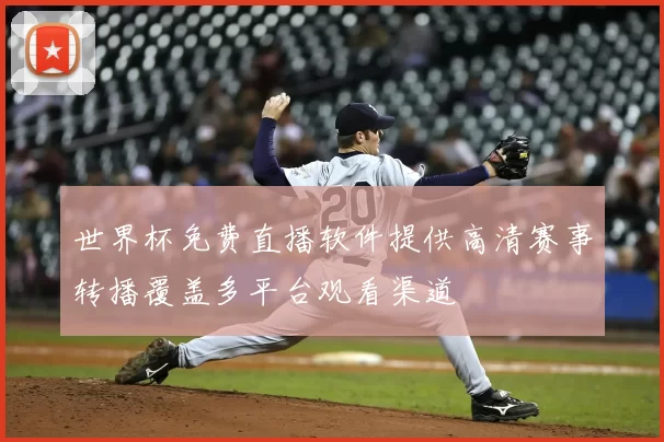 世界杯免费直播软件提供高清赛事转播覆盖多平台观看渠道