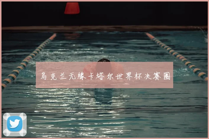 乌克兰无缘卡塔尔世界杯决赛圈